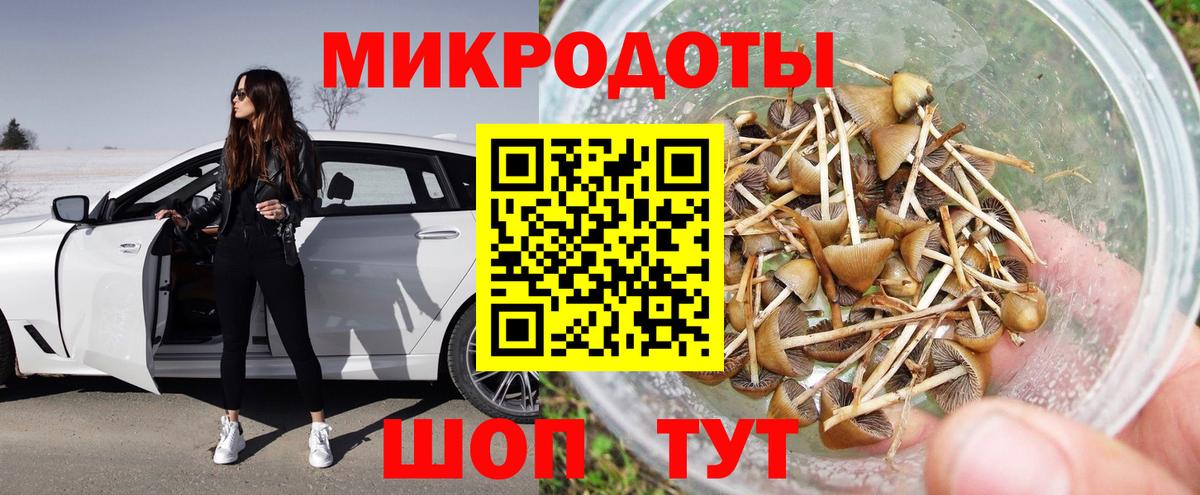 Галлюциногенные грибы Cubensis  Вход с VPN  как найти наркотики  Галлюциногенные грибы прущие грибы  Курчатов 